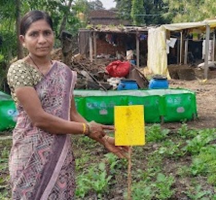 Anusaya