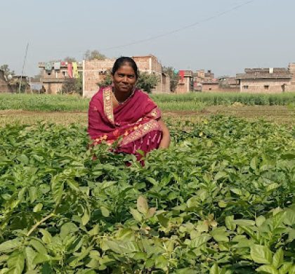 Longaon