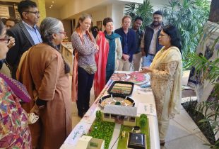 WhatsApp Image 2025-01-25 at 10.24.41 AM