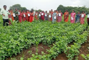 WhatsApp Image 2025-10-12 at 9.36.01 AM (1)