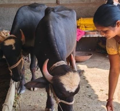 𝐇𝐨𝐦𝐞𝐦𝐚𝐤𝐞𝐫 𝐭𝐨 𝐂𝐥𝐢𝐦𝐚𝐭𝐞-𝐑𝐞𝐬𝐢𝐥𝐢𝐞𝐧𝐭 𝐅𝐚𝐫𝐦𝐞𝐫 𝐋𝐞𝐚𝐝𝐞𝐫